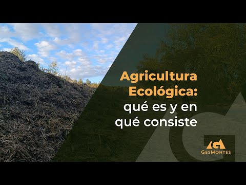 Guía completa: Funcionamiento de la agricultura ecológica