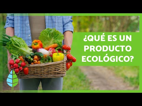 Significado de alimentos ecológicos: todo lo que debes saber